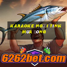 karaoke người tình mùa đông