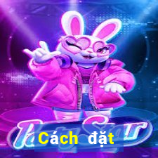 Cách đặt cược XSST ngày 13