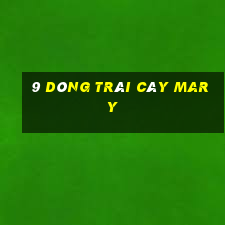 9 dòng trái cây Mary