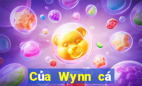 Của Wynn cá cược Việt nam