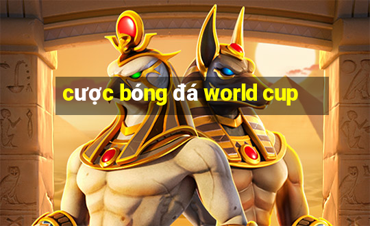 cược bóng đá world cup