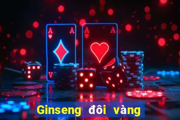 Ginseng đôi vàng mạt chược