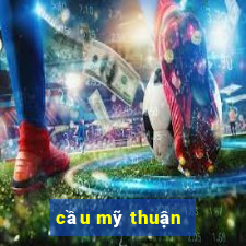 cầu mỹ thuận