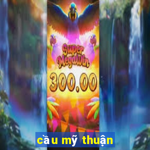 cầu mỹ thuận