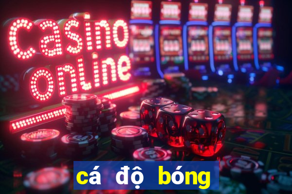 cá độ bóng đá one