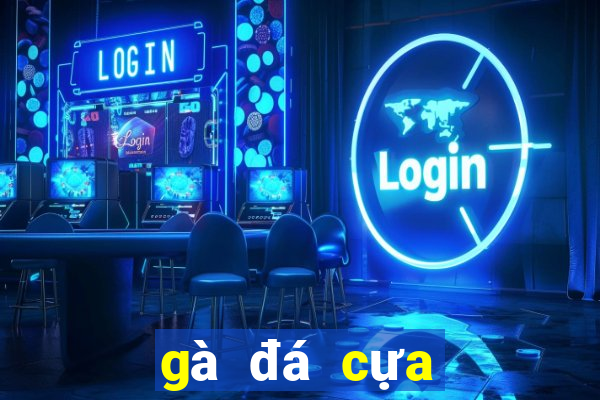 gà đá cựa sắt casino