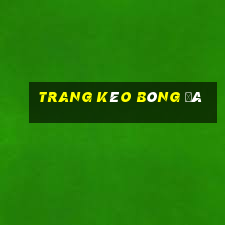 trang kèo bóng đá