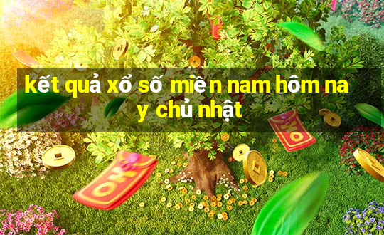 kết quả xổ số miền nam hôm nay chủ nhật