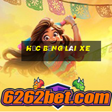 học bằng lái xe