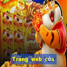 Trang web của Beeway là gì