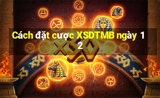 Cách đặt cược XSDTMB ngày 12