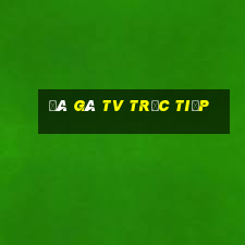 đá gà tv trực tiếp