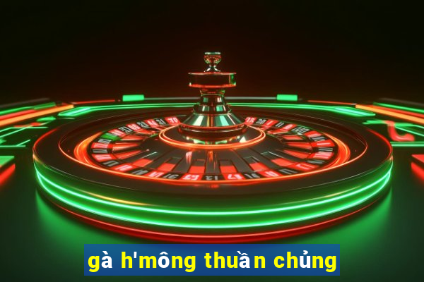 gà h'mông thuần chủng