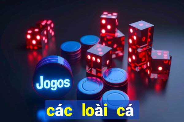 các loài cá dưới đáy đại dương