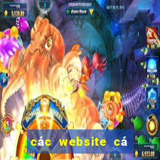 các website cá cược uy tín