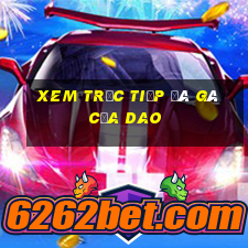 xem trực tiếp đá gà cựa dao