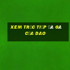 xem trực tiếp đá gà cựa dao