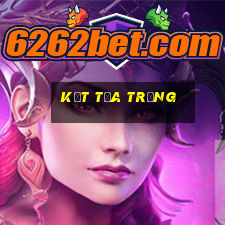 kết tủa trắng