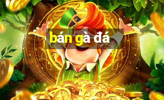 bán gà đá