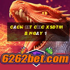 Cách đặt cược XSDTMB ngày 1