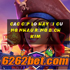 các cặp lô hay đi cùng nhau rồng bạch kim