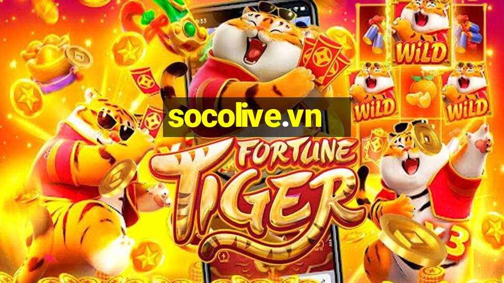 socolive.vn