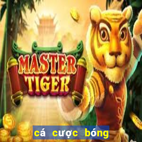 cá cược bóng đá bằng thẻ cào