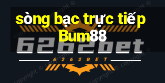 sòng bạc trực tiếp Bum88