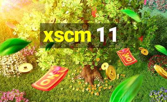 xscm 1 1