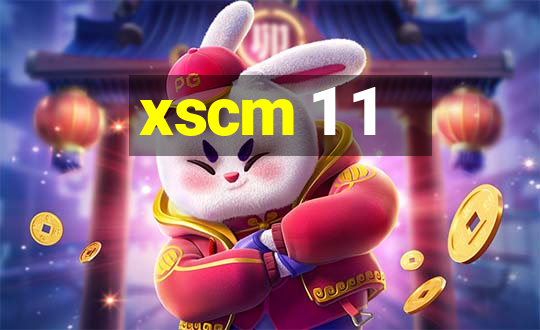 xscm 1 1