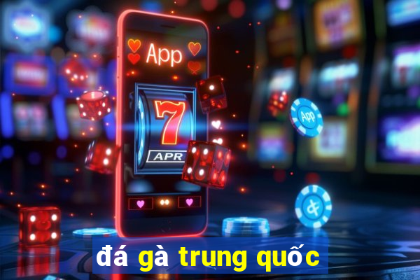 đá gà trung quốc