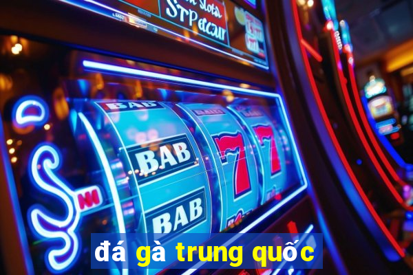 đá gà trung quốc