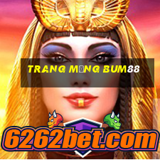 trang mạng Bum88