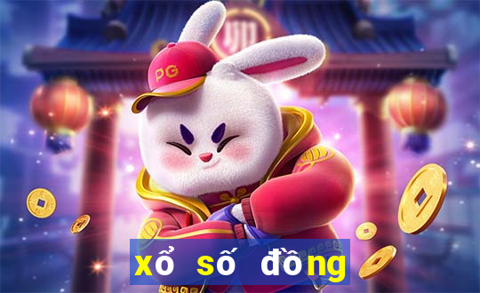 xổ số đồng nai 12 tháng 10