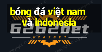 bóng đá việt nam và indonesia