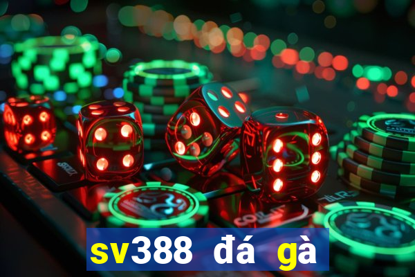 sv388 đá gà trực tiếp thomo tại sv388