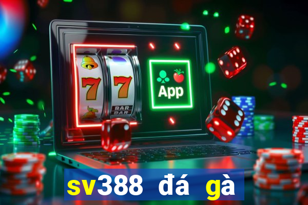 sv388 đá gà trực tiếp thomo tại sv388