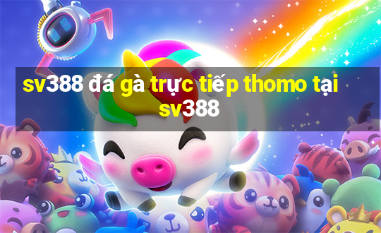 sv388 đá gà trực tiếp thomo tại sv388