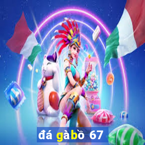 đá gà bồ 67