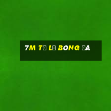 7m tỷ lệ bóng đá