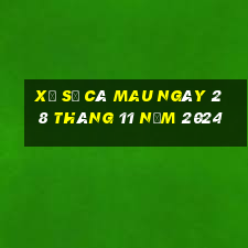 xổ số cà mau ngày 28 tháng 11 năm 2024