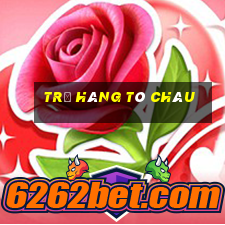 trả hàng tô châu