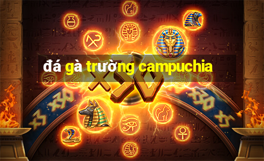 đá gà trường campuchia