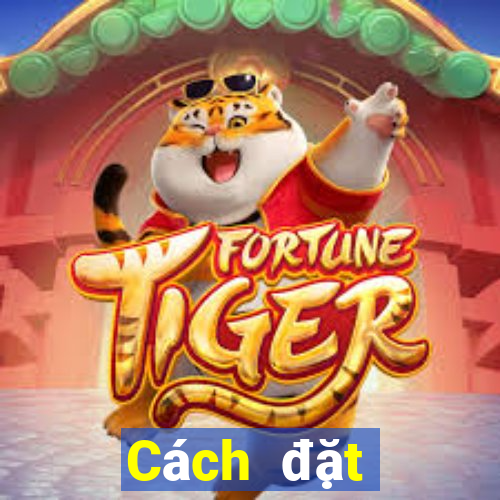 Cách đặt cược XSQN ngày 3