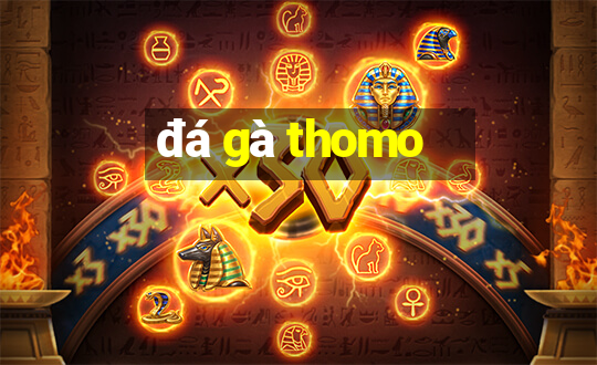 đá gà thomo