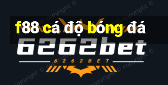 f88 cá độ bóng đá