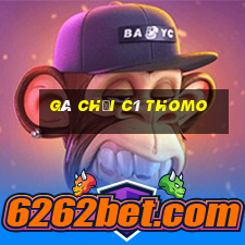 gà chọi c1 thomo