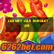 luxury car simulator