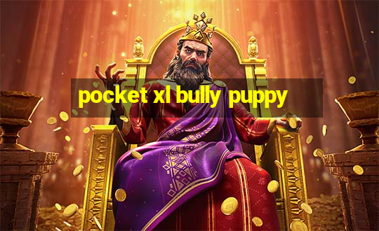 pocket xl bully puppy