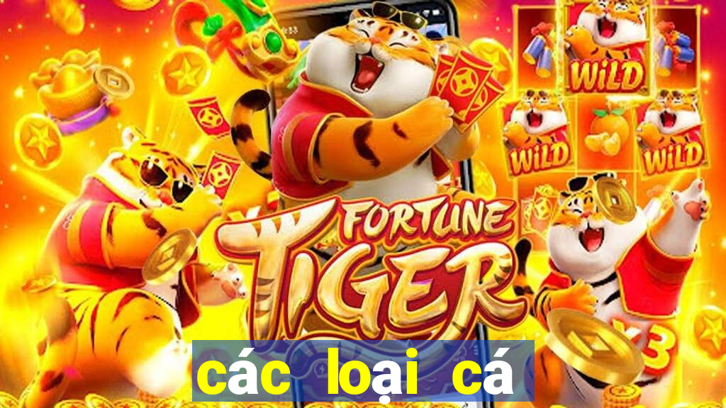 các loại cá mini trong play together